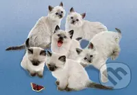 Butterfly Cats - puzzle z kategorie Zvířata