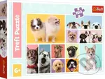 Psí přátelství - puzzle z kategorie 60 - 300 dílků