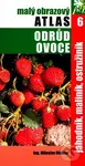 Malý obrazový atlas odrůd ovoce 6 (Jahodník, maliník, ostružiník) - kniha z kategorie Dům, byt a zahrada