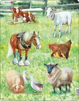 Domáce zvieratá X8 - puzzle z kategorie Naučné puzzle