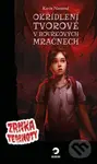 Okřídlení tvorové v bouřkových mračnech - Karin Novotná - kniha z kategorie Beletrie pro děti