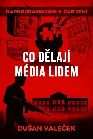 Co dělají média lidem - Dušan Valeček - e-kniha