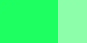 Kvašová barva Schmincke 20ml – 554 viridian hue