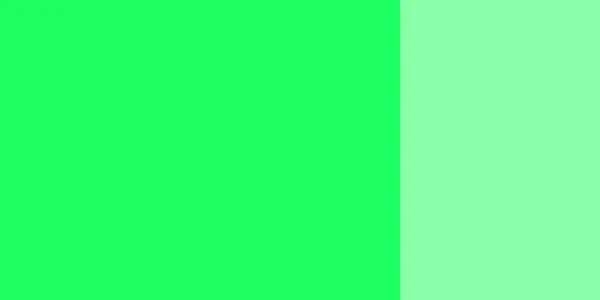 Kvašová barva Schmincke 20ml – 554 viridian hue