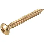 Vruty oblá hlava pasivované na žlto 3,5x30mm