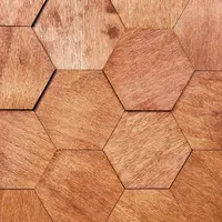 Dekorativní panel Hexagon mahagon 18 cm