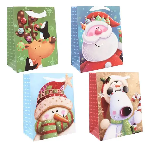 Dárková taška 23x18x10 cm BAG0881