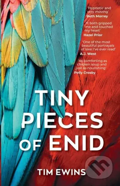 Tiny Pieces of Enid - Tim Ewins - kniha z kategorie Společenská beletrie