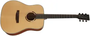 Tanglewood TS5