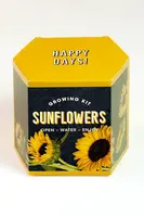 Sada na pěstování rostlin RESETEA Sunflower Growing Kit 9,8 x 8,8 x 8,8 cm více barev