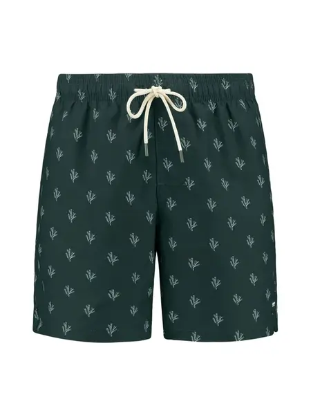 Shiwi Plavecké šortky 'Mike'  tmavozelená