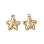 Brass Micro Pave Clear Cubic Zirconia Charms