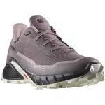 Salomon Alphacross 5 GTX EU 41 ⅓, Moonscape/Black/White Dámské boty