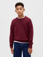GAP Children's Sweater - Boys