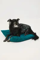 Bunda pro mazlíčka Medicine