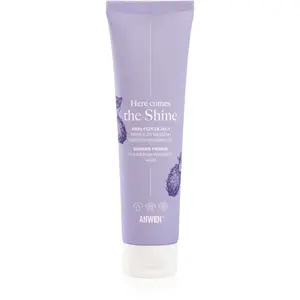 Anwen Here Comes The Shine Shining Primer For Medium Porosity Hair podkladová báza na vlasy 100 ml