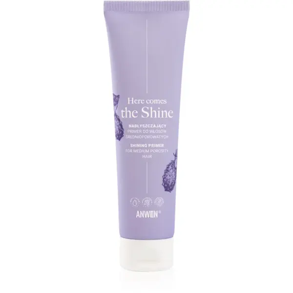 Anwen Here Comes The Shine Shining Primer For Medium Porosity Hair podkladová báza na vlasy 100 ml