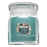 Yankee Candle Holiday Winterfest 368 g