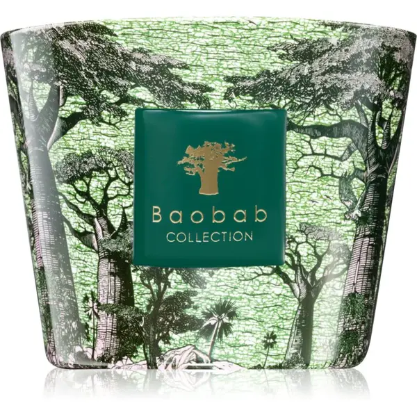 Baobab Collection Sacred Trees Touba vonná sviečka 500 g