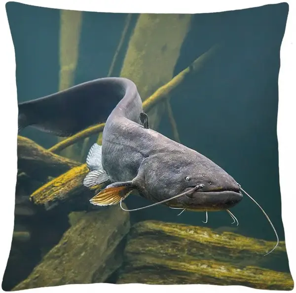 Mbh polštář sumec 40x40 cm