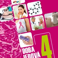 Doba jedová 4 - Hormony - Sherill Sellmanová - e-kniha