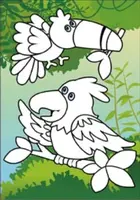 Malování vodou - kartonový list + štětec 150x210mm mix č.2