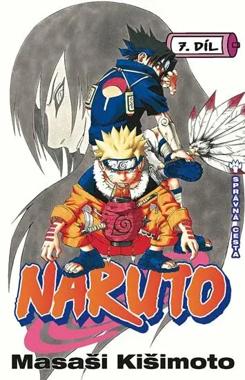 Naruto 7 - Správná cesta - Masaši Kišimoto