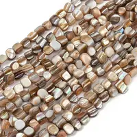 Natural Trochus Shell Beads Strands