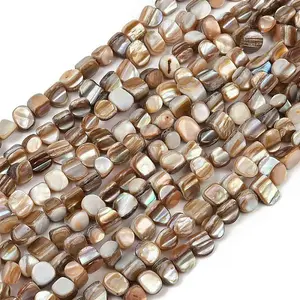 Natural Trochus Shell Beads Strands