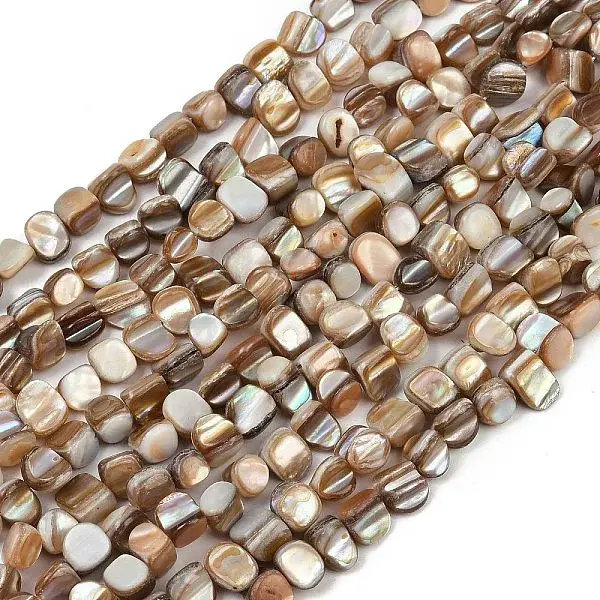Natural Trochus Shell Beads Strands