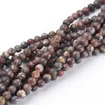 Natural Red Leopard Skin Jasper Beads Strands