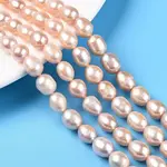 Natural Cultured Freshwater Pearl Beads Strands