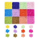 226.8g 12 Color 12/0 Baking Paint Glass Seed Beads