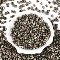 Spray Painted Glass Seed Beads