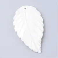 Freshwater Shell Big Pendants