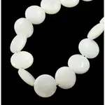 Natural Shell Beads Strands