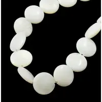 Natural Shell Beads Strands