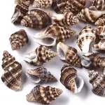 Natural Spiral Shell Beads