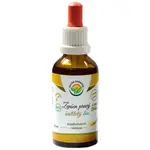 Salvia Paradise Ženšen pravý bezalkoholová tinktura tinktura pro udržení energie a kognitivní výkonnosti 50 ml