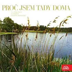 Různí interpreti – Proč jsem tady doma