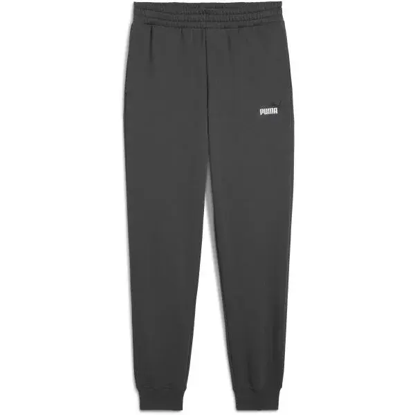 Puma ESSENTIALS 2 COLOR NO 1 LOGO SWEAT PANTS Pánske tepláky, tmavo sivá, veľkosť