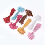 Polyester Cord with Seal Tag