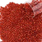 10G Glass Seed Beads