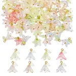 Acryli & Shell Pearl Pendants