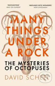 Many Things Under a Rock…