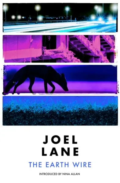 The Earth Wire - Joel Lane