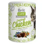 BRIT Care Snack Superfruits Chicken s kuřetem, rakytníkem a borůvkami pro kočky 100 g