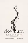 Slow Burn - DawnChere Wilkerson