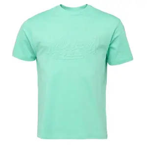 Russell Athletic T-SHIRT Pánské tričko, zelená, velikost