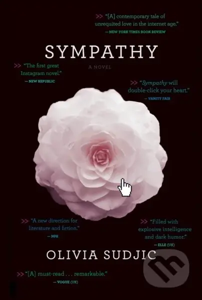 Sympathy - Olivia Sudjic